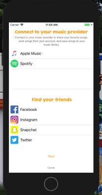 Screen Shot 2018-07-13 at 11.55.02 AM